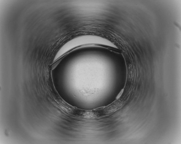 X0000094770562200712071136