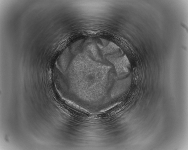 X0000094770563200712071136