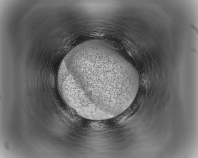 X0000094770568200712071136