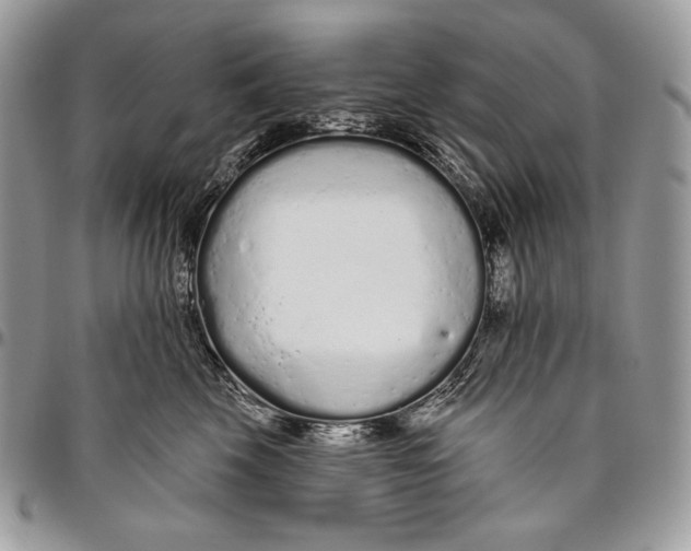 X0000094770569200712071136