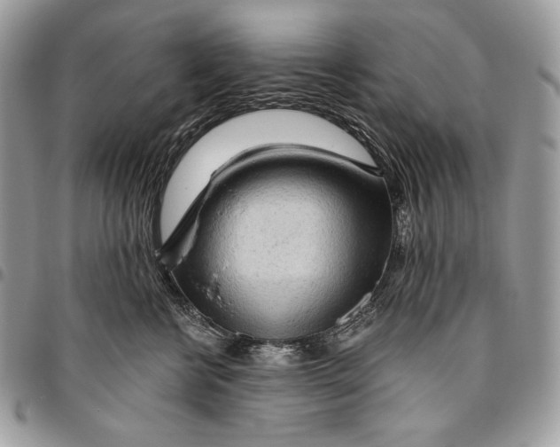 X0000094770570200712071136