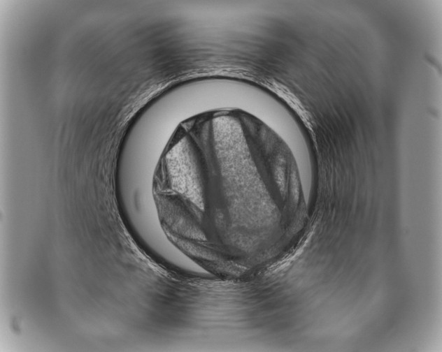 X0000094770577200712071136