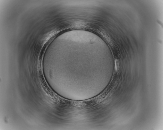 X0000094770579200712071136