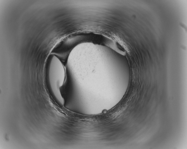 X0000094770580200712071136