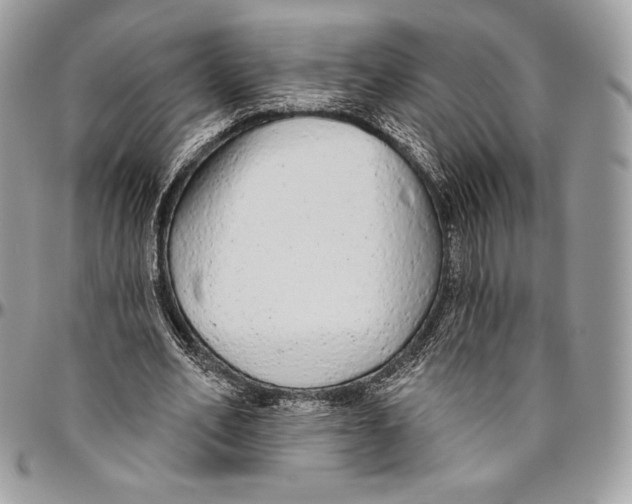 X0000094770582200712071136