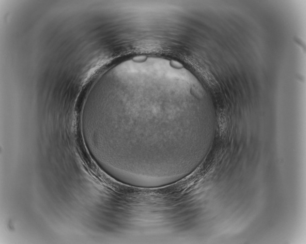 X0000094770583200712071136