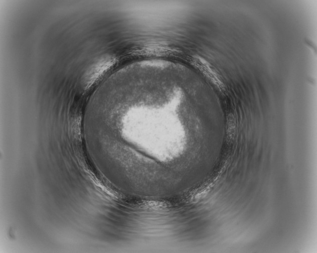 X0000094770585200712071136