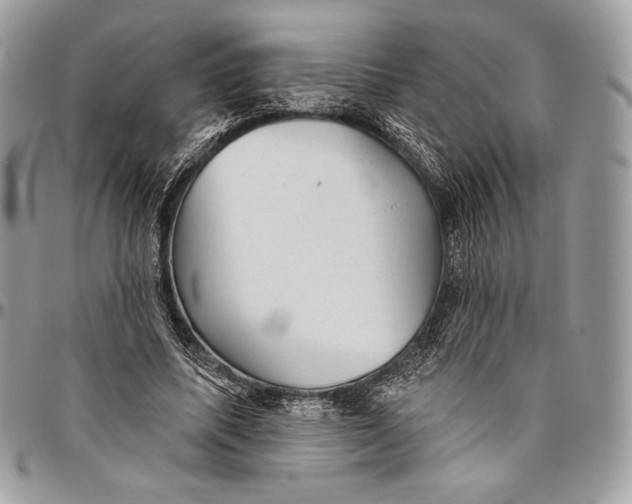 X0000094770587200712071136