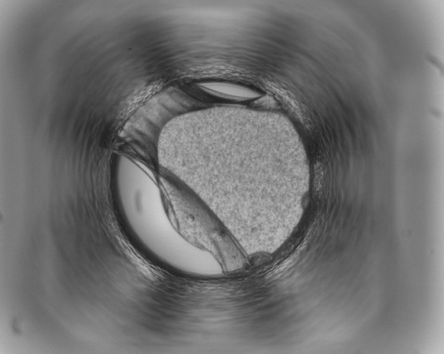 X0000094770589200712071136