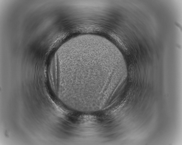 X0000094770590200712071136