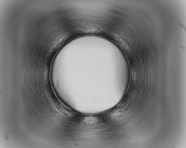 X0000094770591200712071136