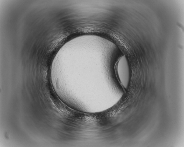 X0000094770592200712071135