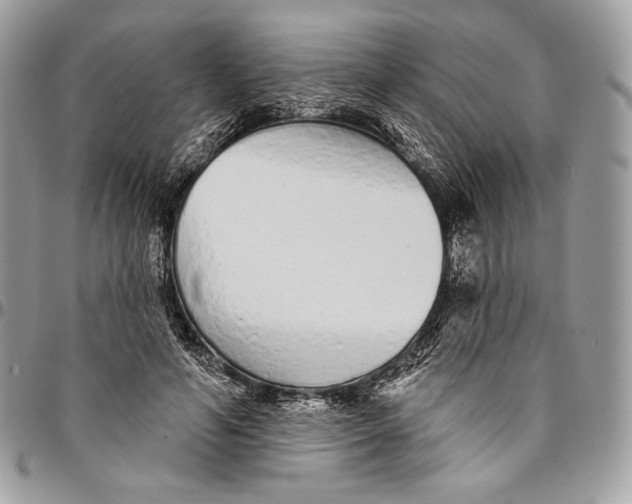 X0000094770594200712071135