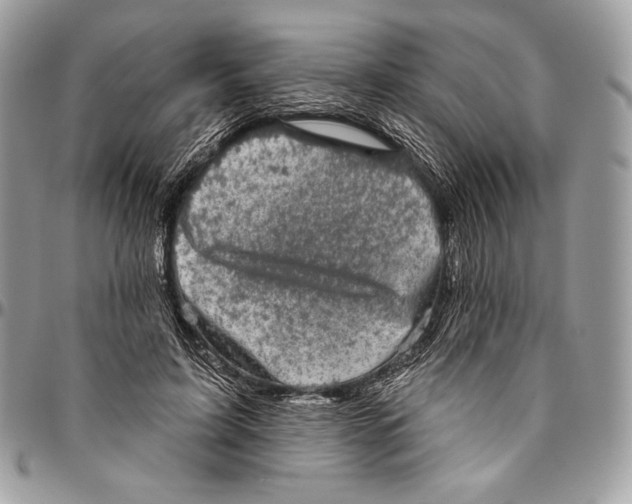 X0000094770595200712071135