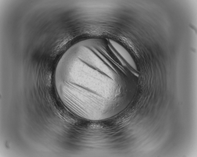 X0000094770596200712071135