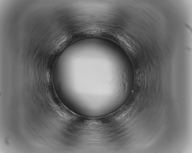 X0000094770597200712071135