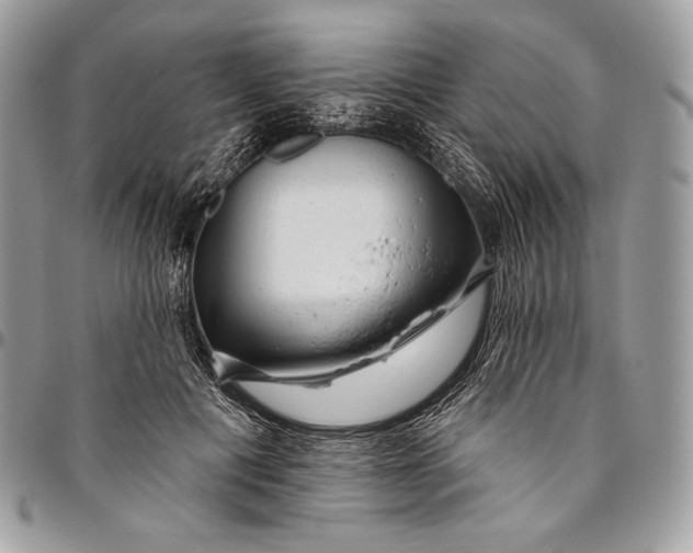 X0000094770601200712071135