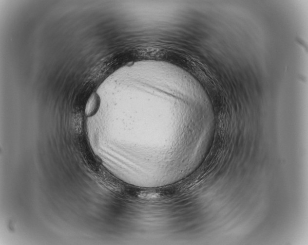 X0000094770602200712071135