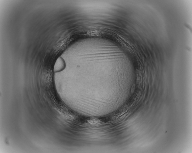 X0000094770603200712071135