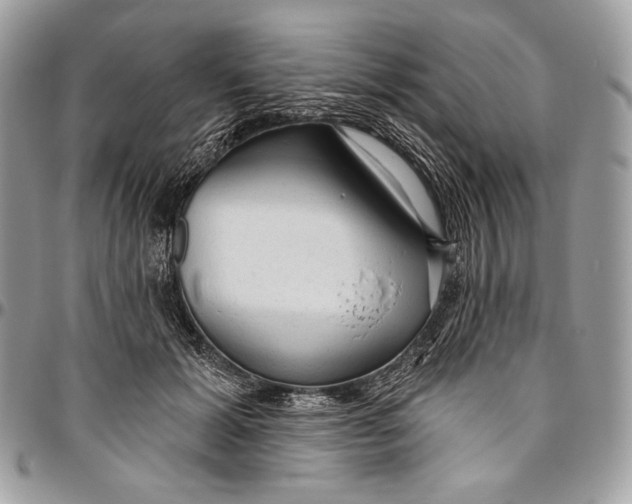 X0000094770605200712071135