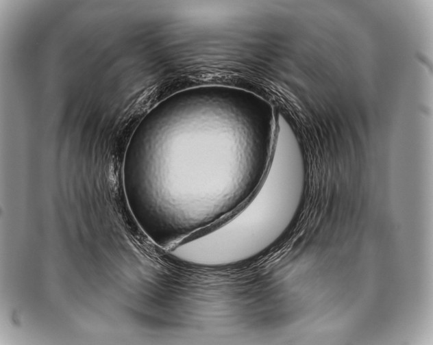 X0000094770607200712071135