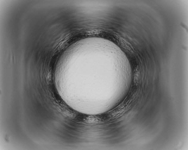 X0000094770608200712071135