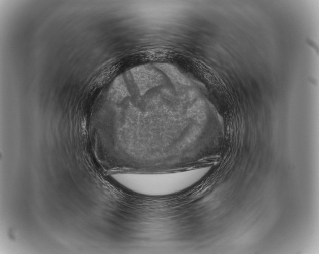 X0000094770610200712071135