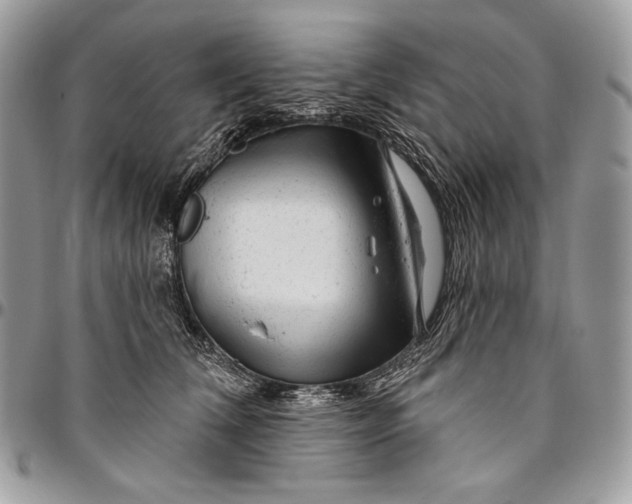 X0000094770612200712071135