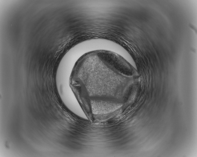 X0000094770613200712071135