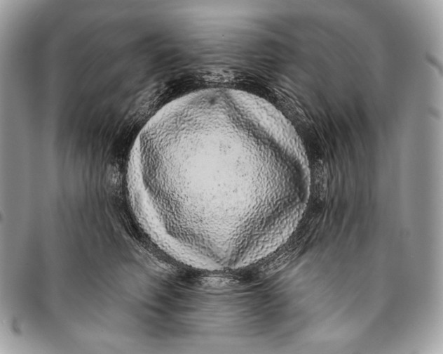 X0000094770614200712071135