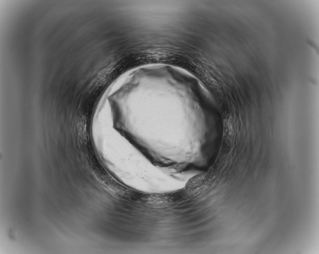 X0000094770615200712071135