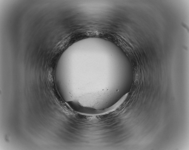 X0000094770616200712071135