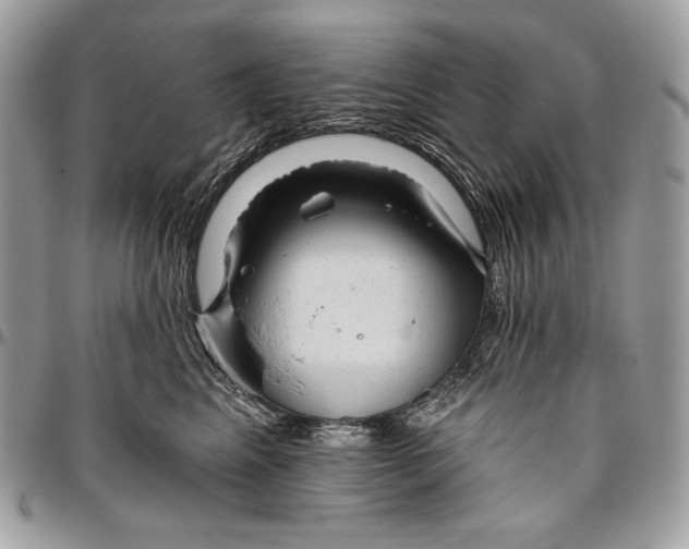 X0000094770617200712071135