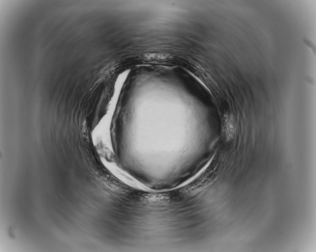 X0000094770619200712071135