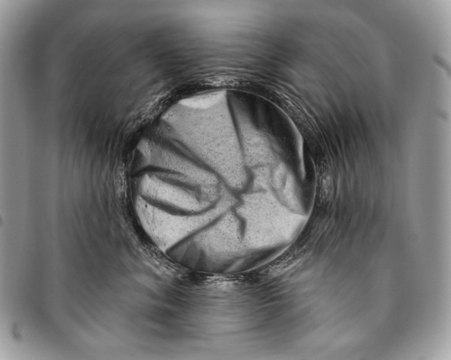 X0000094770620200712071135