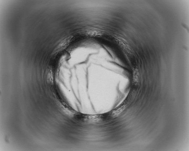 X0000094770622200712071135