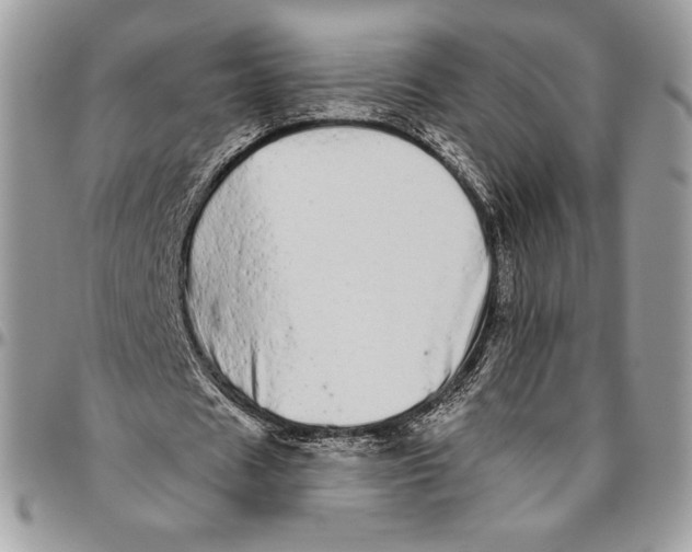 X0000094770625200712071134