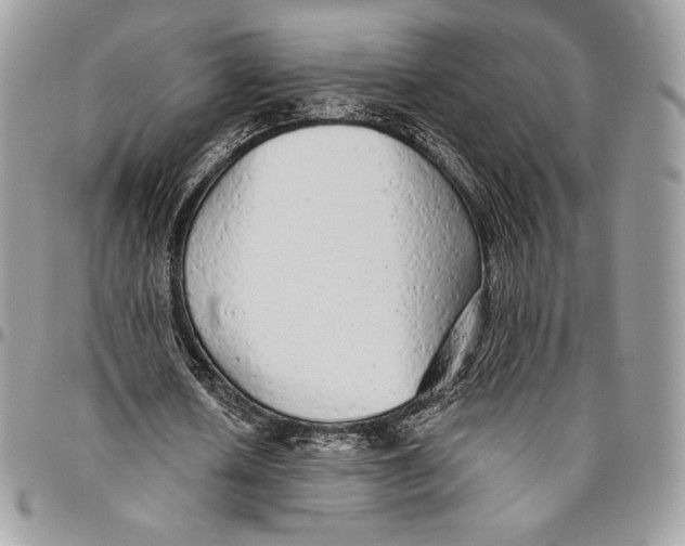 X0000094770626200712071134