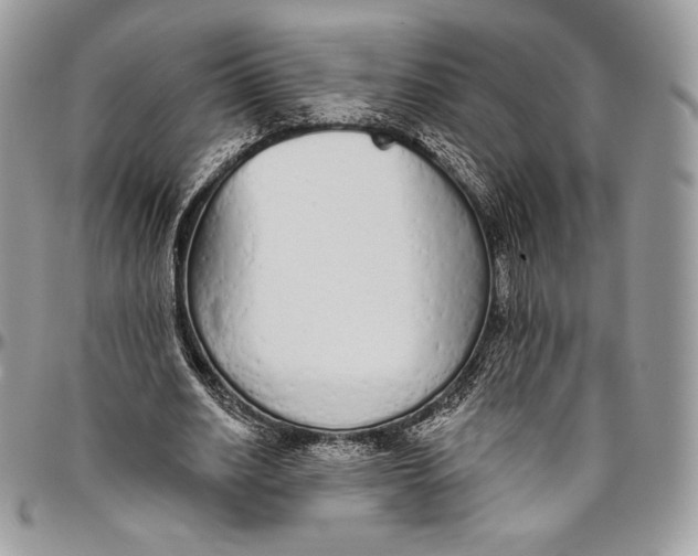 X0000094770630200712071134