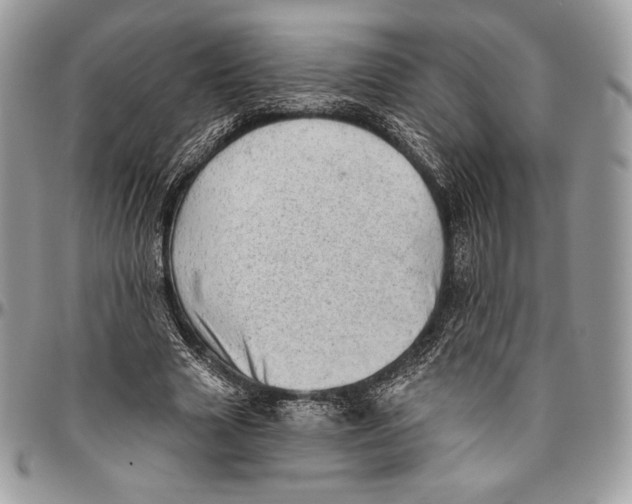 X0000094770633200712071134