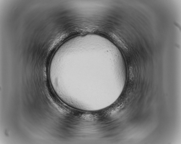 X0000094770634200712071134