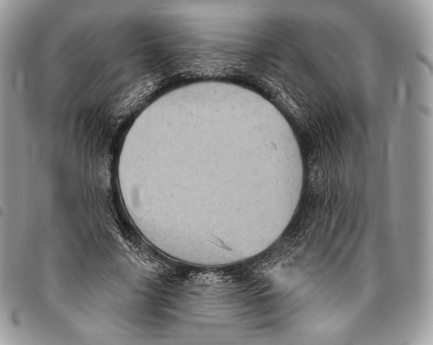 X0000094770635200712071134