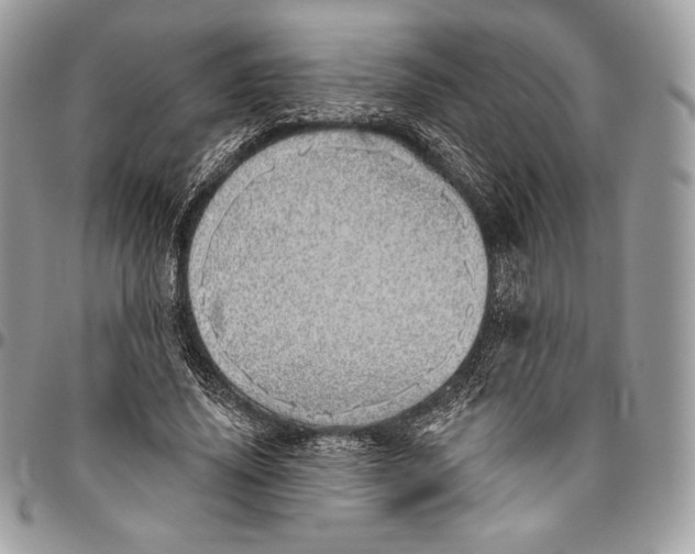 X0000094770636200712071134