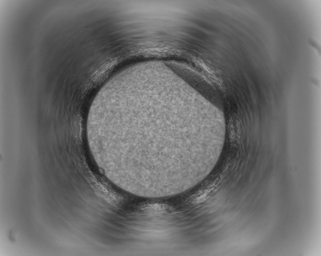 X0000094770637200712071134