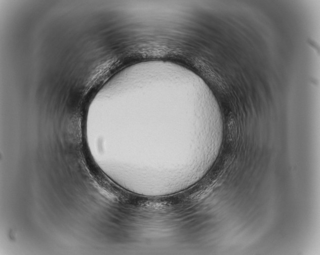 X0000094770638200712071134