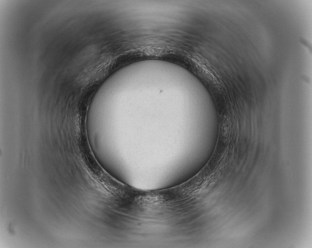 X0000094770639200712071134