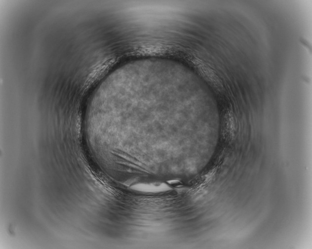 X0000094770640200712071134