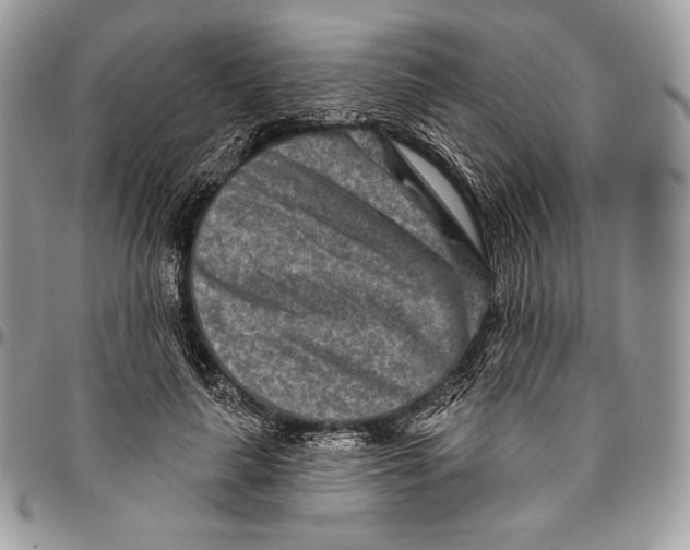 X0000094770643200712071134