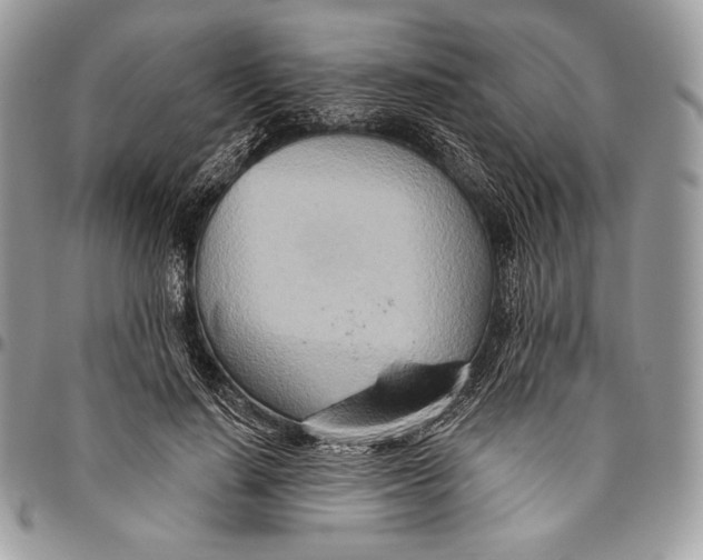 X0000094770644200712071134