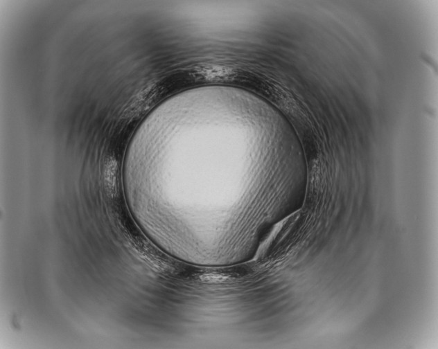 X0000094770650200712071135